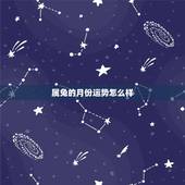 属兔的月份运势怎么样，属兔人2021年运势运程每月运程