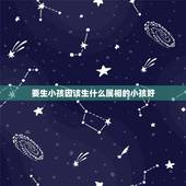 要生小孩因该生什么属相的小孩好，属马的生个什么属相的孩子比较好呢？