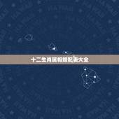 十二生肖属相婚配表大全，十二生肖属相婚姻配对表