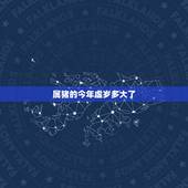 属猪的今年虚岁多大了，2022 属鼠的今年虚岁多大了