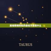 属相婚姻搭配的最佳方法是什么，十二生肖羊配什么婚姻好