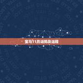 宝马11月运势及运程，生1979年十一月初三年属羊2016年运势及运程