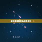 男属蛇龙配什么属相最好，属蛇的和什么属相最配，属蛇的配什么生肖最好