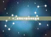 十二星座配对最佳婚配属相，12生肖配对姻缘？