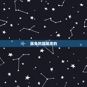 属兔的跟属虎的，属虎男98和属兔女99