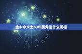 金木水火土63年属兔是什么属相，1963年属兔，五行是什么