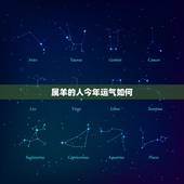 属羊的人今年运气如何，属马的人今年运气如何