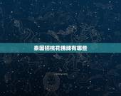 泰国招桃花佛牌有哪些，泰国转运佛牌有哪些？