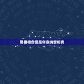 属相相合但是年命纳音相克，命理中属相相合重要还是命相相合重要