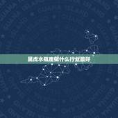 属虎水瓶座做什么行业最好，水瓶座适合什么工作