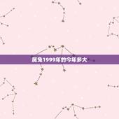 属兔1999年的今年多大，99年12月04属兔的今年多大了