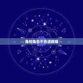 兔和兔合不合适婚姻，兔子和马合婚不