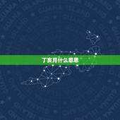 丁亥月什么意思，丁亥月出生命好吗
