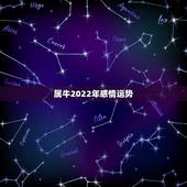 属牛2022年感情运势，属牛女2021年的感情运