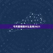 今天属相是什么生肖2021，2021属什么生肖，2021是什么生肖年