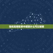 兔和龙婚配家中摆放什么可以破解，兔和龙属相相配如何破解