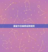 属鼠今日麻将运势如何，今日麻将运势测算