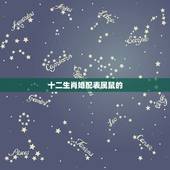 十二生肖婚配表属鼠的，属鼠的属相婚配表大全