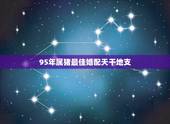 95年属猪最佳婚配天干地支，1995年属猪和什么属相最好