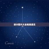 缘分图片大全唯美遇见，相识是缘分的经典唯美语录相识是缘的句子
