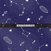 鼠和鼠的婚姻如何，属鼠与属鼠不好的方面