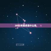 2022年属虎是什么命，2022年虎几月宝宝更好