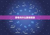 养龟与什么属相禁忌，属猪适合养龟吗？相冲点化解