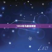 1953年马最佳婚配，属马的和什么属相最配 属马的属相婚配表