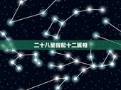 二十八星宿配十二属相，中国二十八星宿之(心宿)代表什么生肖