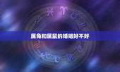 属兔和属鼠的婚姻好不好，属兔和属虎的婚姻怎样