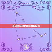 男马属相和女龙属相相配吗，女属龙和男属马配吗