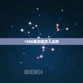 1986年的属虎人运势，1986属虎的人哪个生肖年运气最好