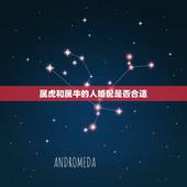 属虎和属牛的人婚配是否合适，请属牛的女和属虎的男相配吗