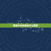 属相子未向害是什么意思，生肖相害是什么意思