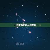 十二生肖蛇和马相配吗，十二生肖虎和蛇合吗