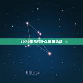 1978年马和什么属相合适，什么属相与78年属马的是最佳拍档