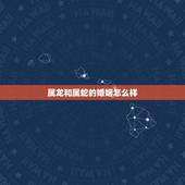 属龙和属蛇的婚姻怎么样，属龙跟属蛇谁更狡猾