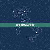属兔的命运与婚姻，2022 年属兔感情婚姻咋样