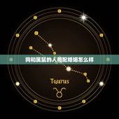 狗和属鼠的人相配婚姻怎么样，属狗的和属鼠的人相配吗