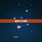 属虎2022运势，属虎人一生最旺3个人