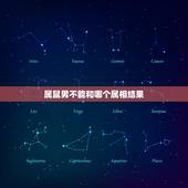 属鼠男不能和哪个属相结果，射手属鼠男【72年】的和什么属相最配