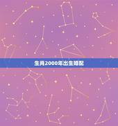 生肖2000年出生婚配，2000年属龙和谁配婚