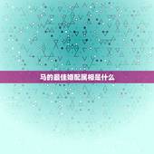马的最佳婚配属相是什么，1978年的马最佳配偶是什么属相