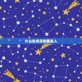 什么生肖压制属鼠人，属鼠的和什么属相不合