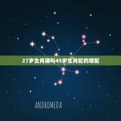 27岁生肖猪与45岁生肖蛇的婚配，蛇和什么属相最配蛇与猪匹配吗？