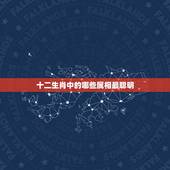 十二生肖中的哪些属相最聪明，十二生肖哪个生肖最笨的动物是什么？