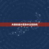 夫妻的缘分是命中注定的吗，姻缘是否有些命中注定