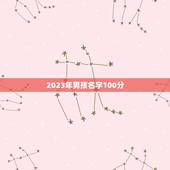 2023年男孩名字100分 2023兔年男宝宝100分名字分享
