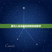 属马人永远最旺的颜色和数字，属马合适什么颜色属马什么颜色好