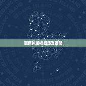 哪两种属相最适宜婚配，属相婚配